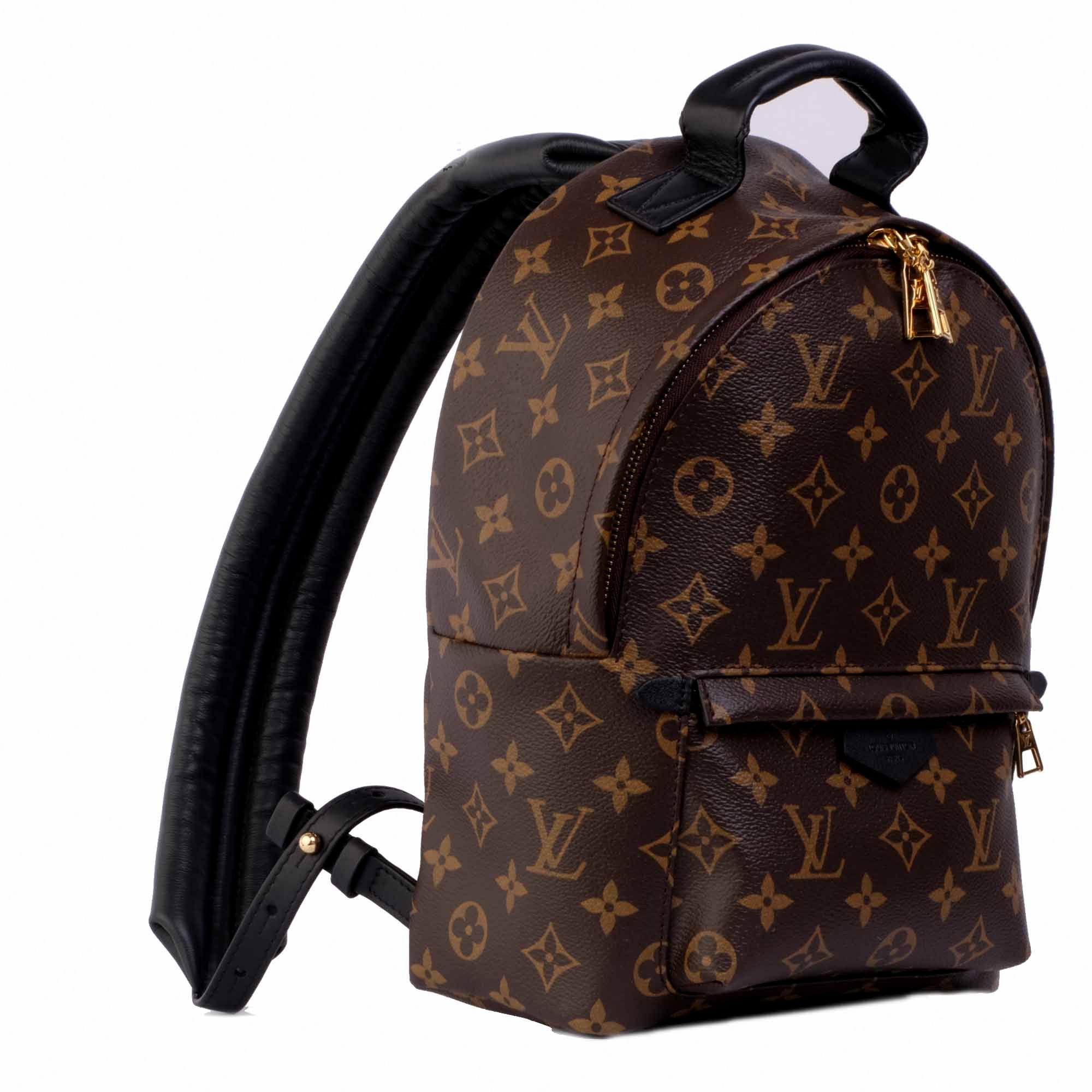 Palm springs leather backpack Louis Vuitton Black in Leather - 24738318