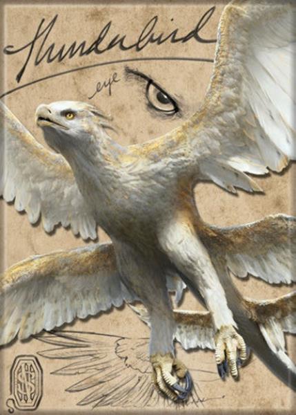 Fantastic Beasts Movie Thunderbird Name and Photo Fridge Magnet Harry  Potter NEW | eBay